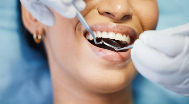 Best Emergency X-Rays and Diagnostics in Central Park, WA